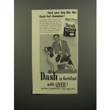 1953 Armour Dash Dog Food Ad - Springer Spaniel Mister Brown of Meliotus