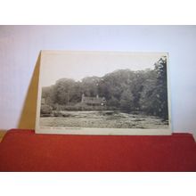 SOUTH POND, MIDHURST, SUSSEX unused antique postcard by West Street Library =