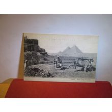 FARMRS, THE PYRAMIDS. CAIRO . EGYPT. unused antique postcard =