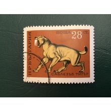 ICOLLECTZONE BULGARIA 1948 VF used Cats