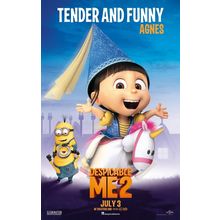 Despicable Me 2 (2013)_22 Movie Film Poster Canvas iconic design