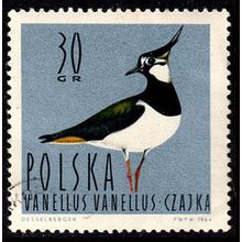 Poland 1964 Birds 30G Used Stamp Waterfowl