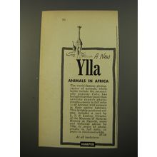 1954 Harper Book Advertisement - Animals in Africa by Ylla