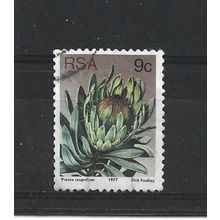 SouthAfrica.SG422 9c Protea Roupelliae.Fine Used.Sep25c