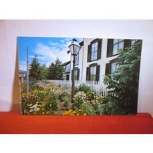HEALY HOUSE GARDENS, LEADVILLE, Colorado unused postcard =