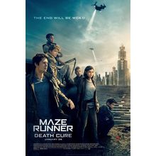Maze Runner The Death Cure 2 Poster Canvas Movie Film Print A0 A1 A2 A3 A4 A5 A6