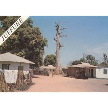 Juffure Gambia Tribal Houses African Gambian Postcard