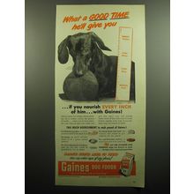 1949 Gaines Dog Food Ad - What a good time he'll give you