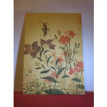 RICE LOCUST painted by Utamaro unused postcard #