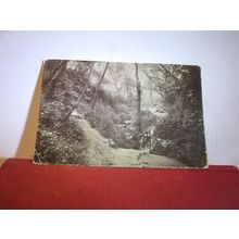 ECCLESBOURNE GLEN, HASTINGS, SUSSEX. used vintage postcard by B & R. 1930 pm =