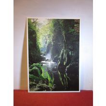 BETWS-Y-COED, THE FAIRY GLEN.. unused postcard by Dave Newbould (a) =