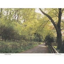 Abbey Road Country Lane in Autium Knaresborough Postcard