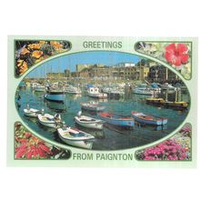 the harbour, PAIGNTON, DEVON, unused vintage postcard =