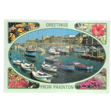 the harbour, PAIGNTON, DEVON, unused vintage postcard #