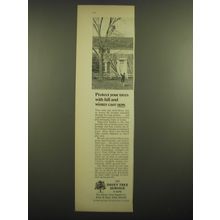 1968 Davey Tree Service Ad - Protect your trees with fall and winter care now