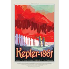 Visions of the Future NASA Kepler-186f Redder Grass Poster Canvas Movie Film Pri