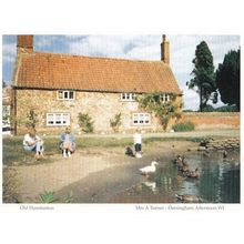 Children Feeding Swans at Old Hunstanton Farm Cottage Norfolk Postcard