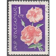Bulgaria 1962 Michel 1300 O Cote (2009) 0.10 € Rosier à grandes fleurs