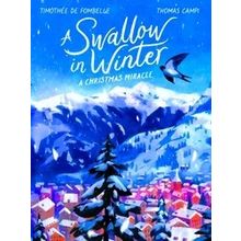 A Swallow in Winter