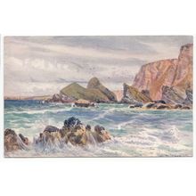 Cornish Lions Watergate Bay Newquay Cornwall Art Postcard