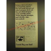 1966 Canada Tourism Ad - Baldpate, black and mallard and pintail duck