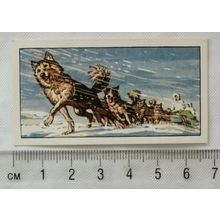 1962 Typhoo Travel through the Ages card No. 12 Dog Sledge