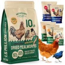 Bulk Dried Mealworms, 10 Lbs – Non-Gmo Mealworms for Chicken & Birds - Insect Pr