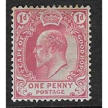 CAPE OF GOOD HOPE 1902-4 EDVII 1d MINT SG71