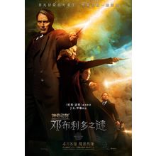 Fantastic Beasts_ The Secrets of Dumbledore (2022)_31 Movie Film Poster Canvas i