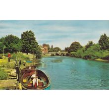 The Avon Bridge Christchurch 1960s Postcard