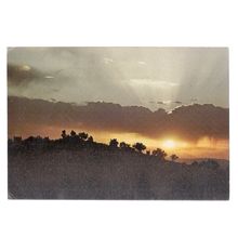 SUNSET AT THE OASIS, MOROCCO used postcard 1975 postmark =