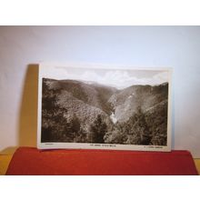 THE GORGE, DEVIL'S BRIDGE Aberystwyth unused postcard RP by Davies of Lampeter =