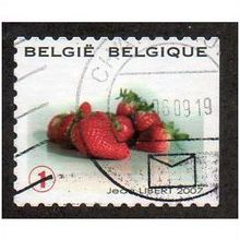 BEL 2007 (52c)(S/A) 'FRUIT- STRAWBERRIES' FINE USED (EBID10375)