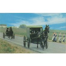 Ohio Dutch Country Amish Family Carriage OH Horse Girls Postcard