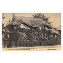 The Thatched Cottage at the Triangle Enfield Libraries Reproduction Postcard 32