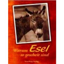 Warum Esel So Gescheit Sind