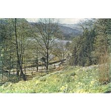 RYDAL WATER,.. used postcard postmark 1983 J Arthur Dixon Westmorland 2103 =