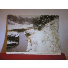 BRIAR DENE, WHITLEY BAY by Mrs. A. Swearman unused postcard Whitley lodge W.I. #