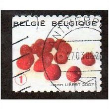 BEL 2007 (52c)(S/A) 'FRUIT- RASPBERRIES' FINE USED (EBID10408)