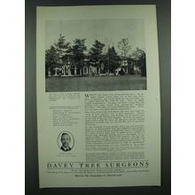 1919 Davey Tree Surgeons Ad - Estate of J. Ogden Armour
