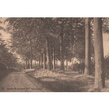 Lusthof Lekkerbek Hotel Pension Waasmunster Belgium Postcard