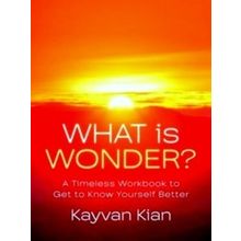 What Is Wonder?