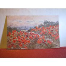 POPPIES, ROMAN CAMP, CROMER, NORFOLK. . unused vintage postcard. =