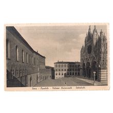 SIENA vintage unused postcard (k)