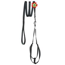 Mesh Step-In Nylon Harness + Flower Leash Black 13-17"