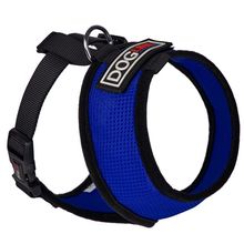 Nylon Mesh Harness Royal Blue 13" 16"-22"