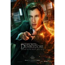 Fantastic Beasts_ The Secrets of Dumbledore (2022)_7 Movie Film Poster Canvas ic