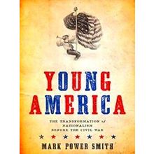 A Nation Divided Young America