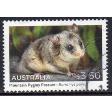 Australia 2022 Native Animals - Pygmy Possum $3.60 (new post rate Jan 23) Used