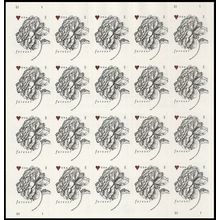 GENUINE Vintage Rose Pane of 20 Mint Current Rate Wedding Stamps Scott 4959